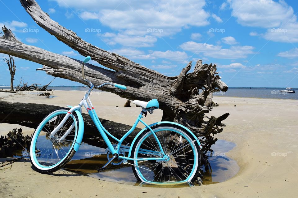 Driftwood and a bike
