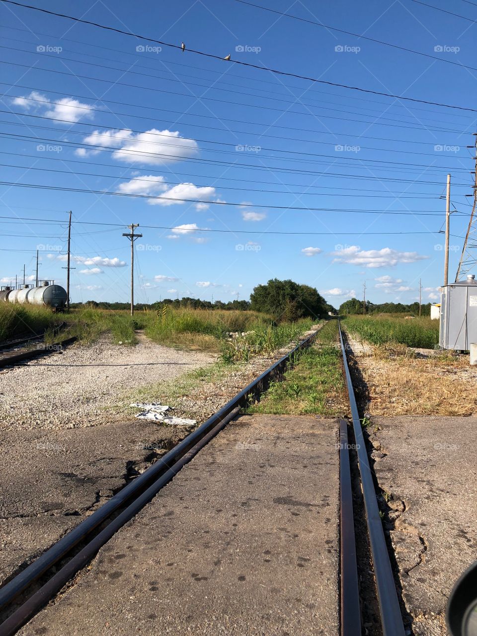 train tracks