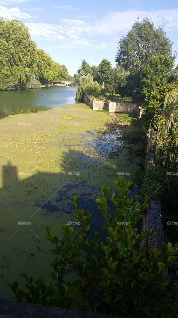 Water, River, No Person, Tree, Landscape