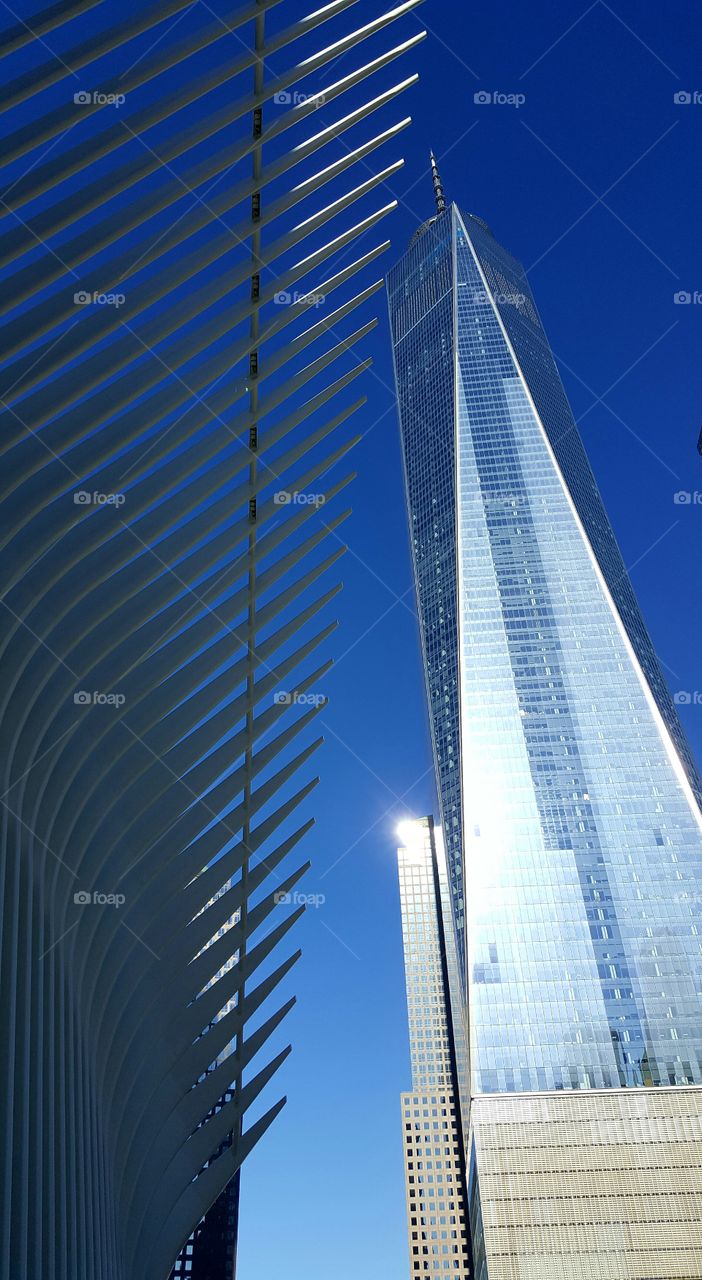 The Oculus and the One world observatory 
New York city...