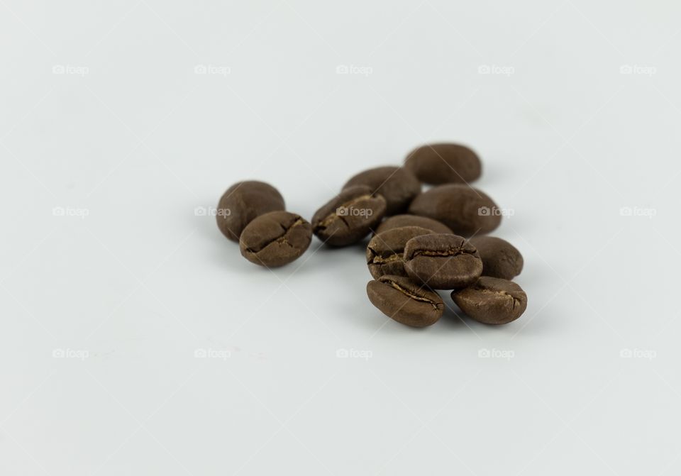 Blue mountain Coffee seed 