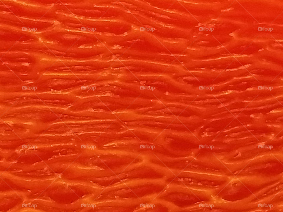 The inside of a red sweet pepper