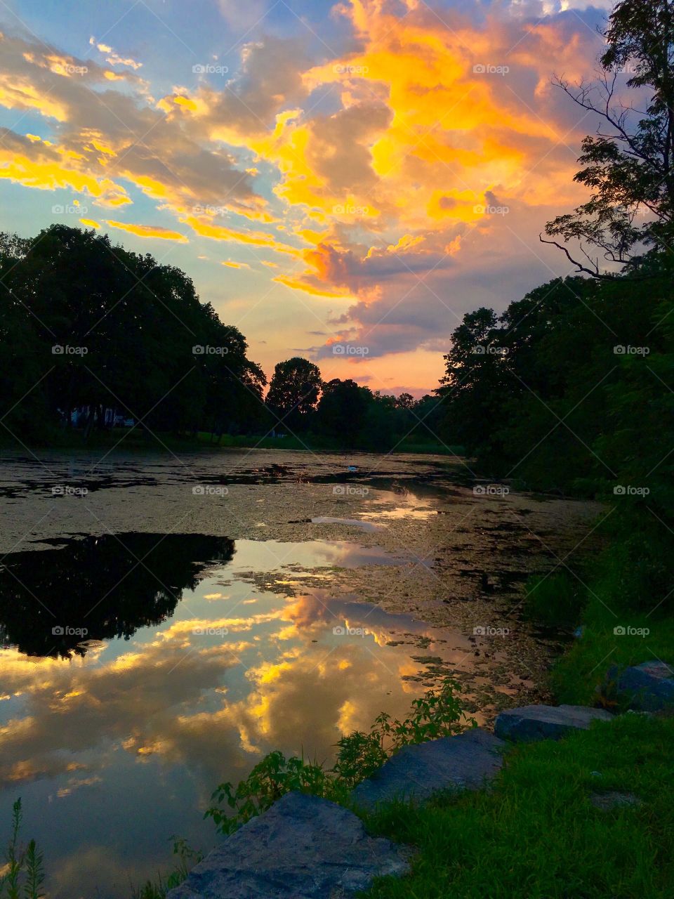 Dramatic Sunset on Butterfly Pond 

(Lincoln, RI USA)