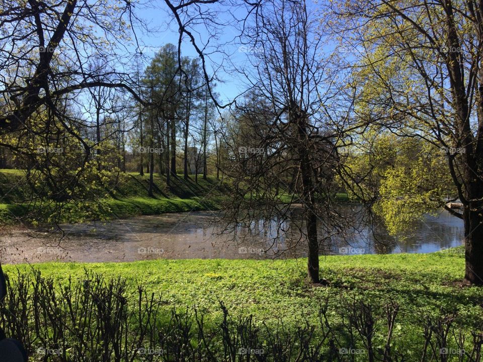 Alexandrovski park