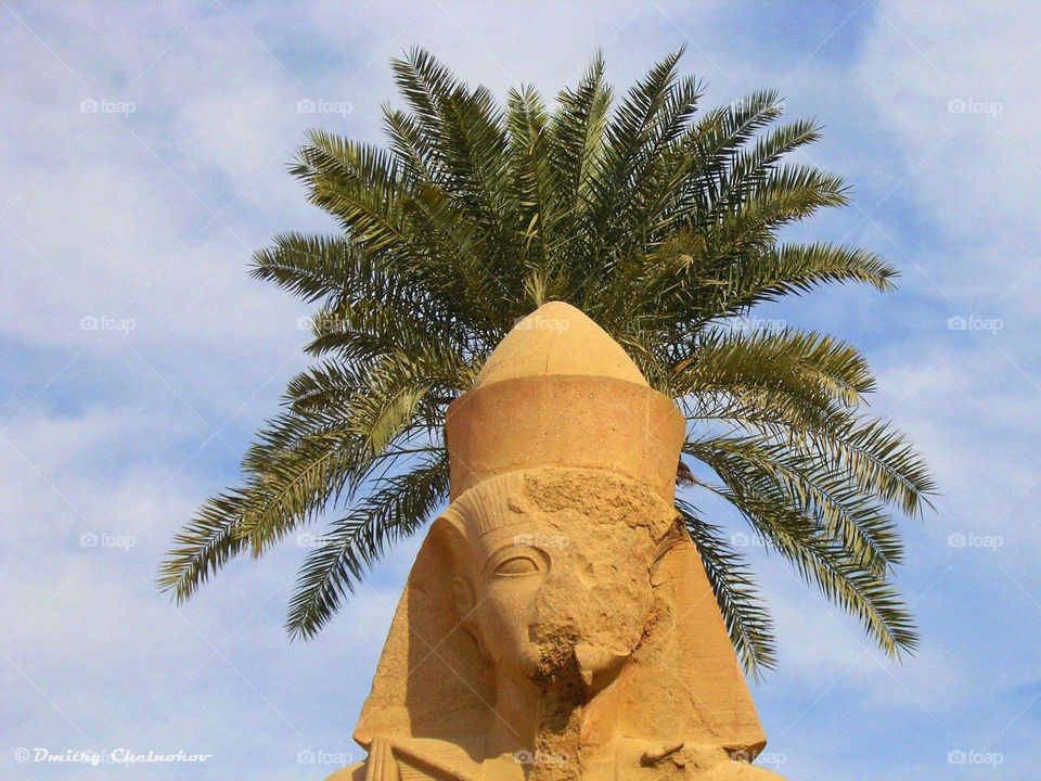 Egypt. Luxor.