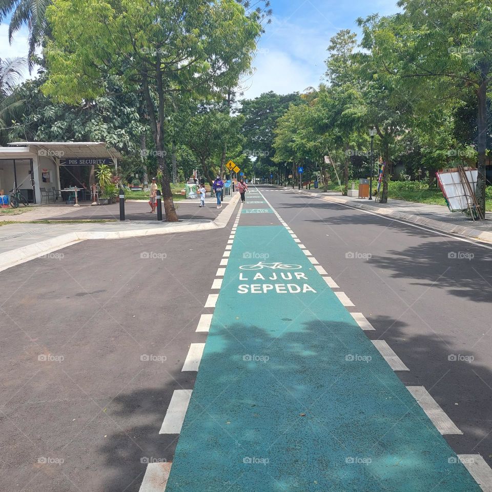 bicycle path on an empty road with trees on the side