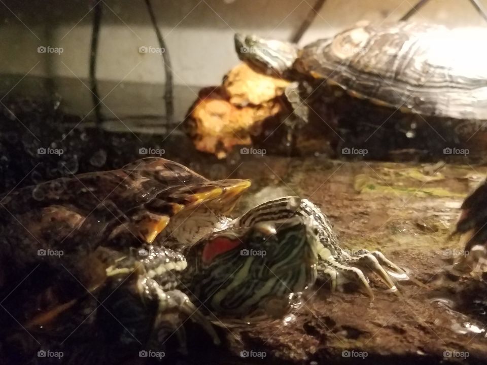 so slow 🐢🐢🤺