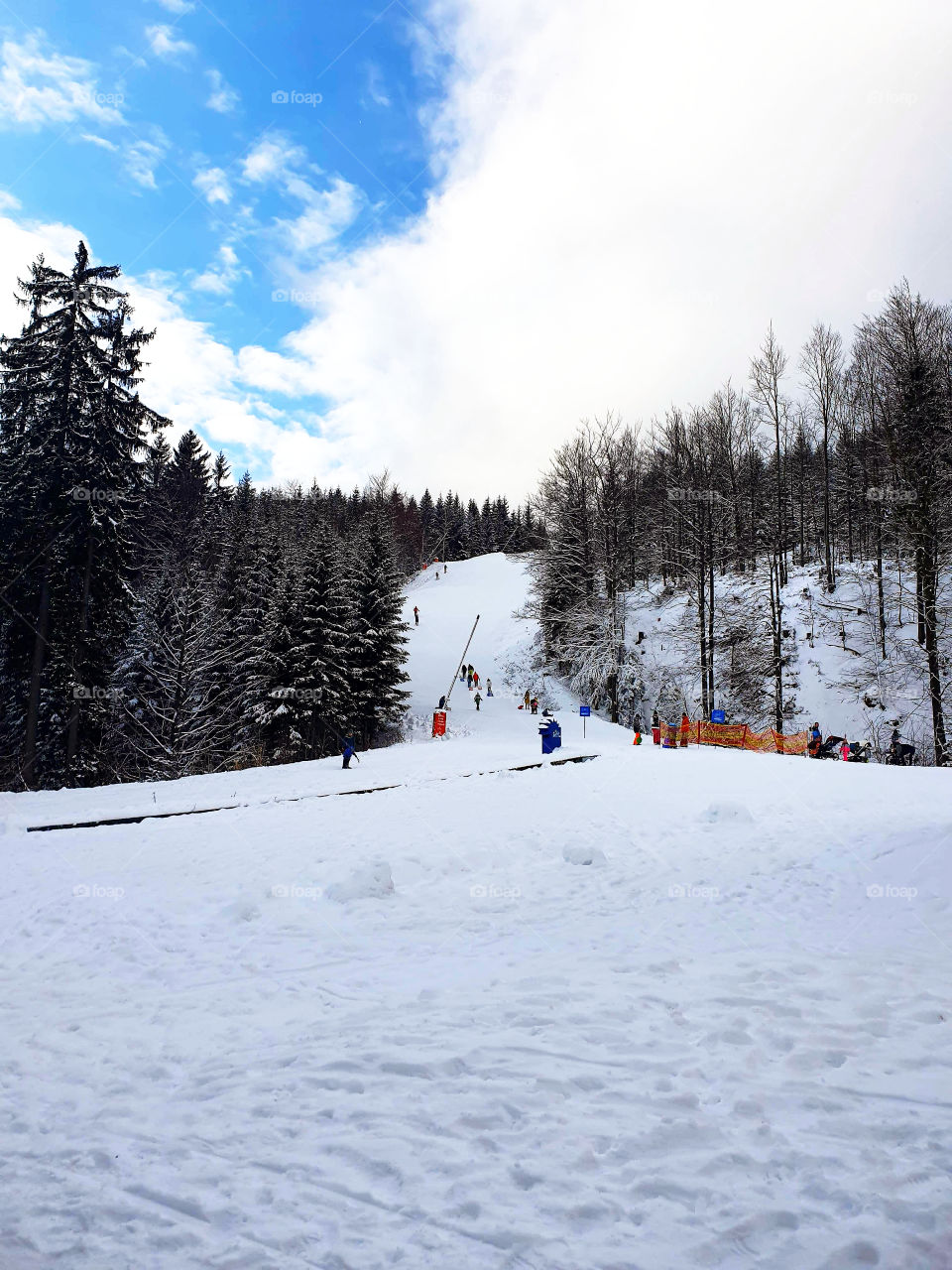 A snowy mountain, around which there is a winter forest.  In the distance people are rolling down the mountain