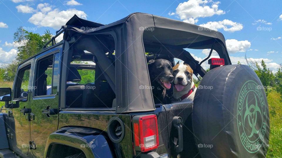 Jeep adventures