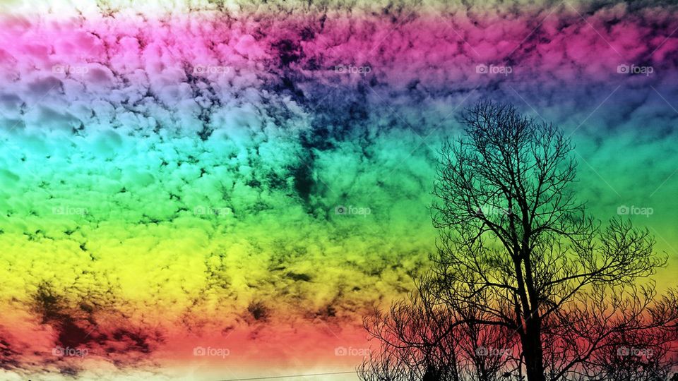 Rainbow Sky Tree Colour