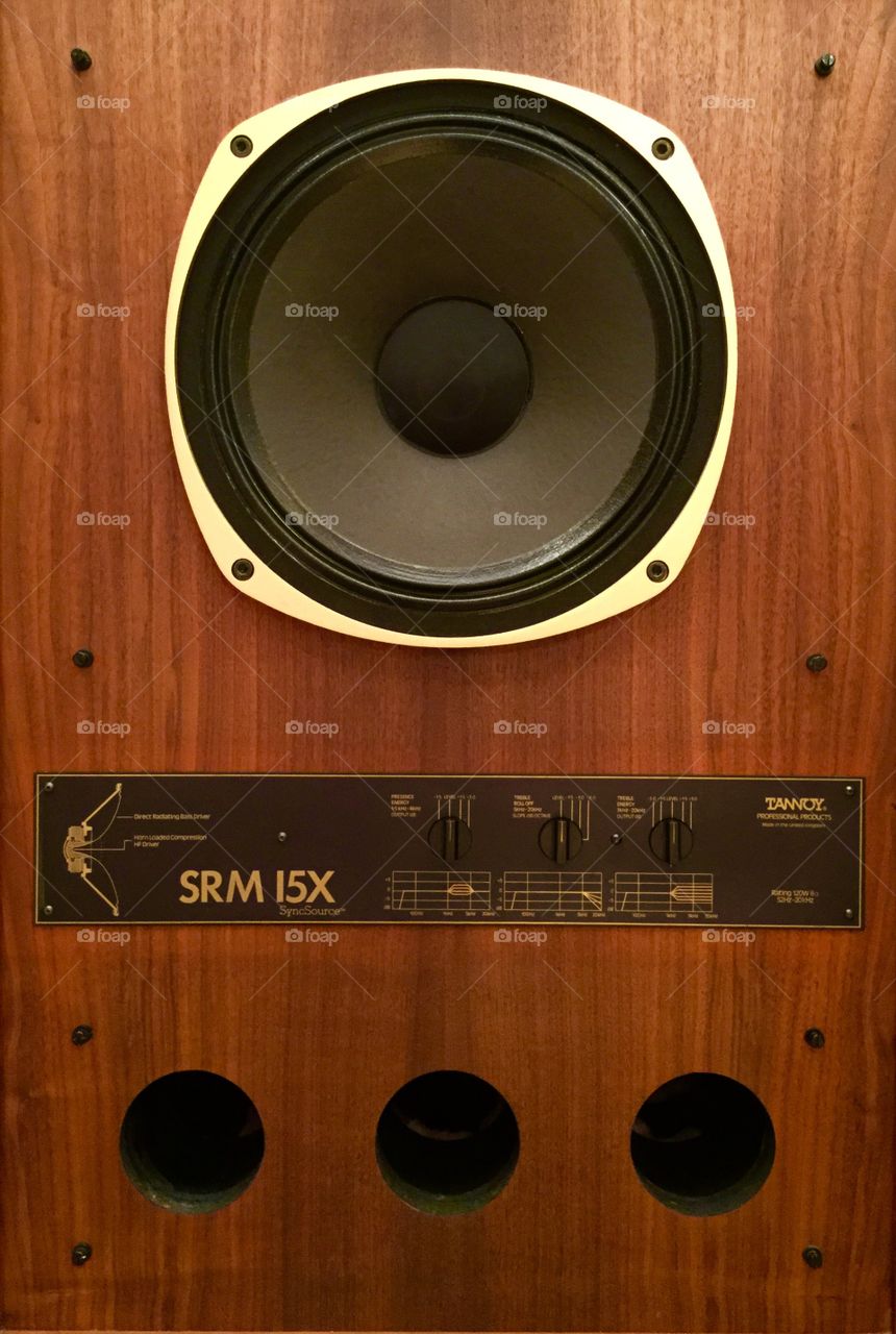 Tannoy SRM-15X