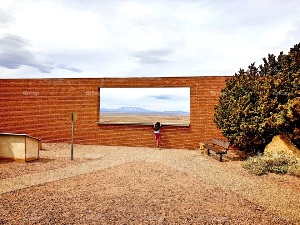 Window into The Future 