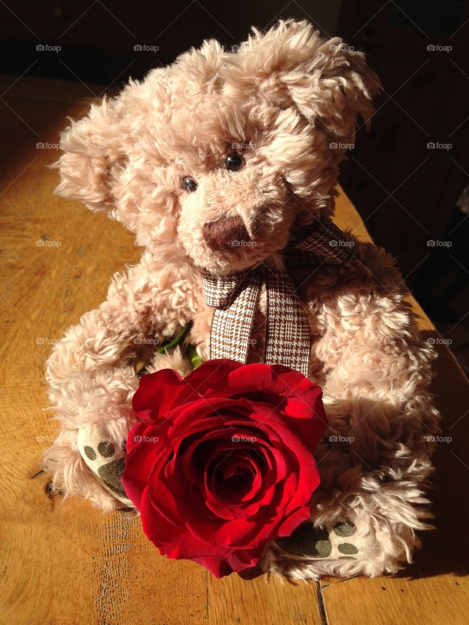 Romantic teddy bear!