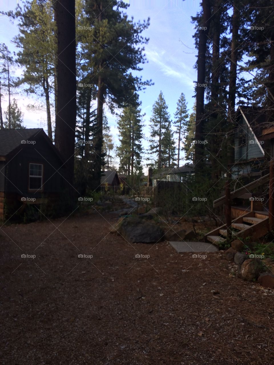 Cabin Life. Cabins at Lake Tahoe, California