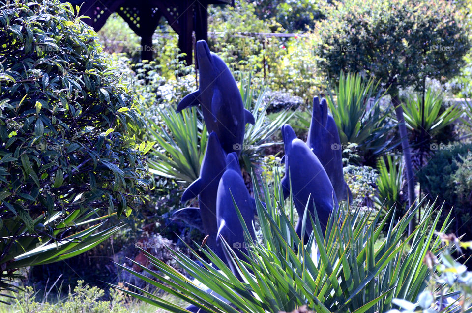 garden dolfins