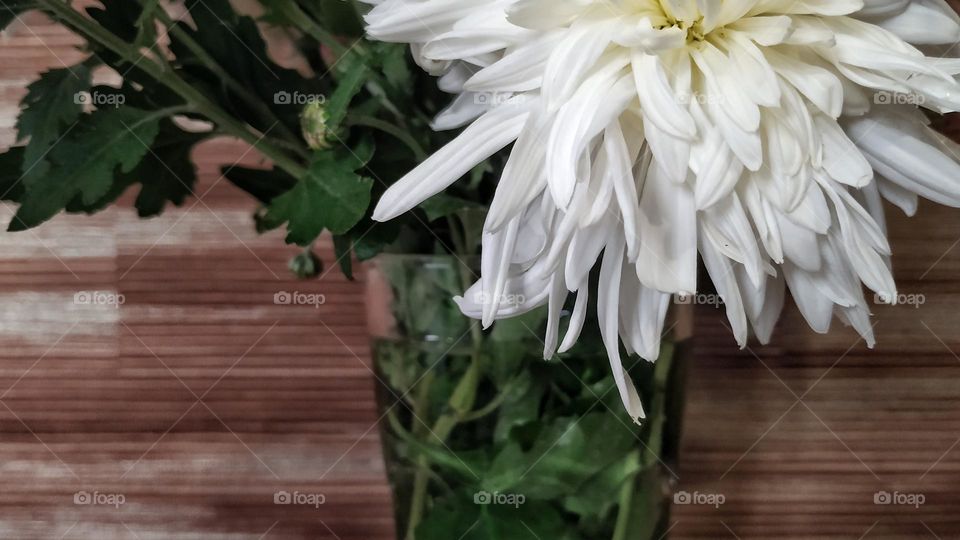 flowers in a vase