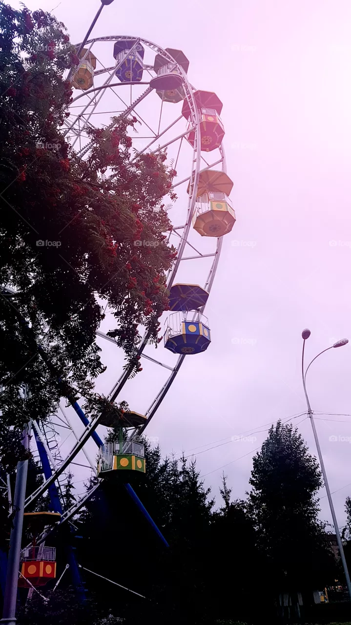 carousel