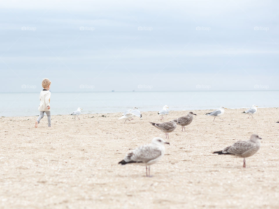 A boy running through the seagulls on the beach, they are not impressed though.