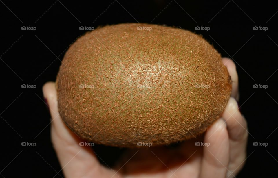 fresh tropic kiwi fruit in the hand black  background