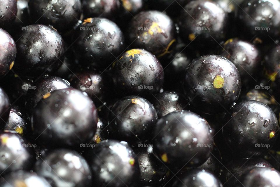 Jaboticatubas Typical Brazilian fruit