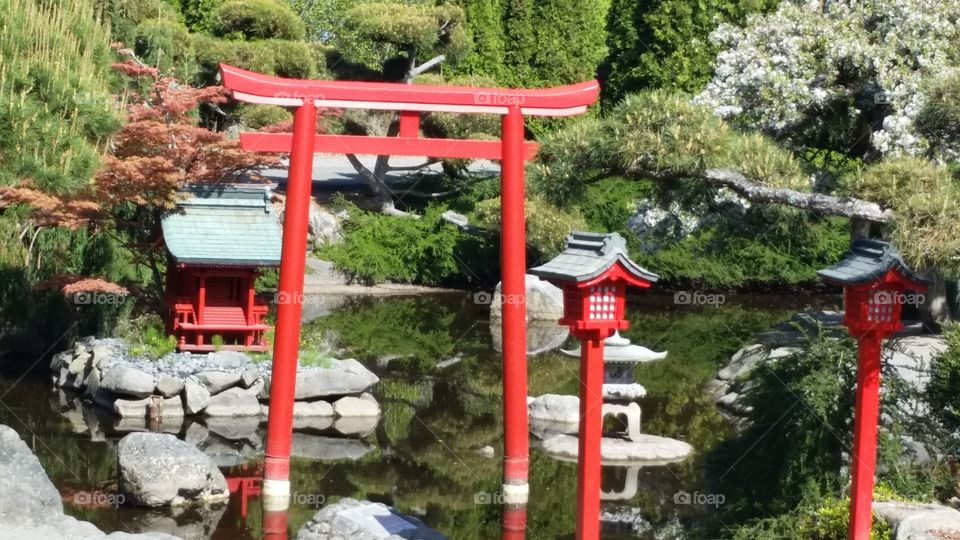 japanese garden red