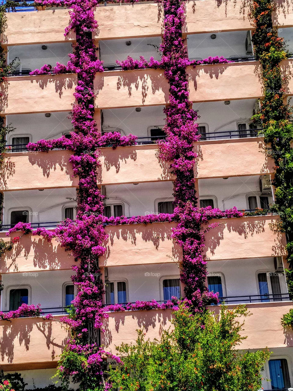 blooming house in Marmaris