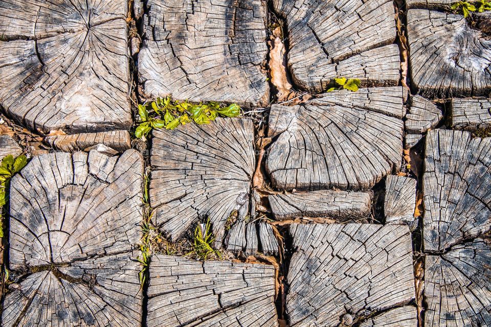 Full frame shot of wooden