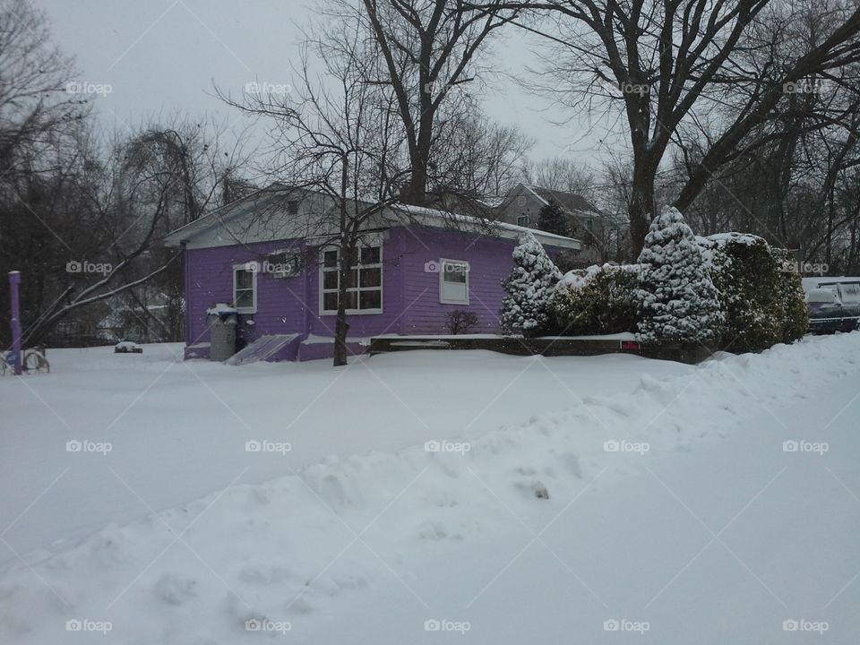 tiny cottage. purple houses