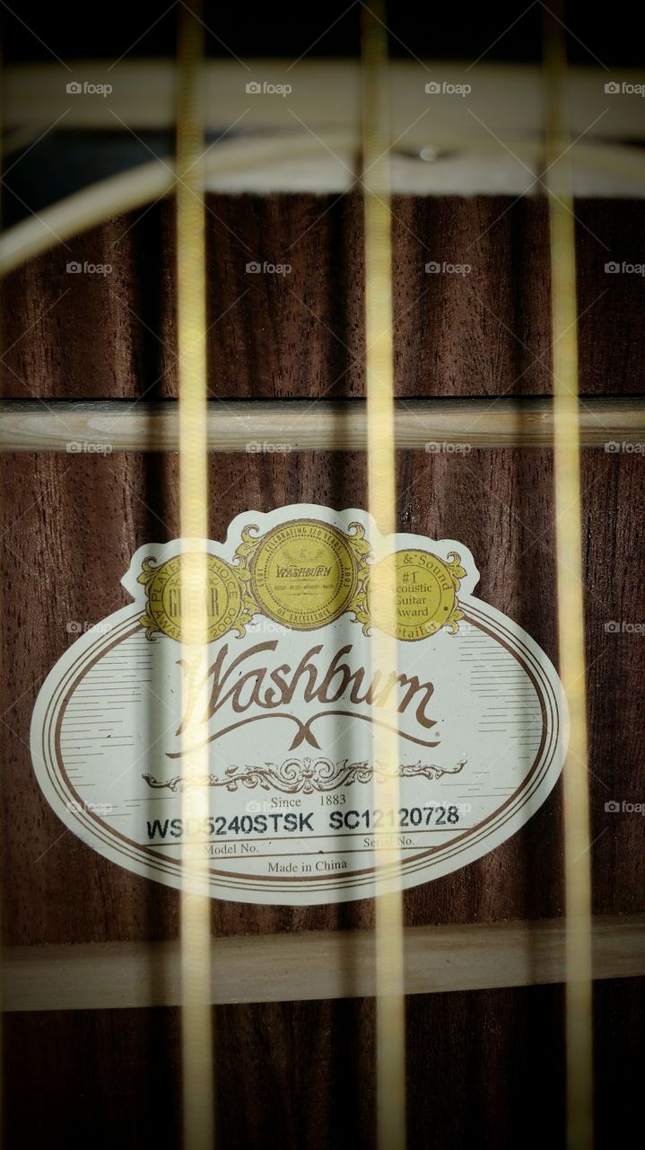 washburn guitar closeup