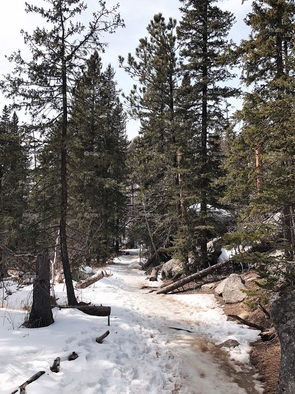 black elk peak trail