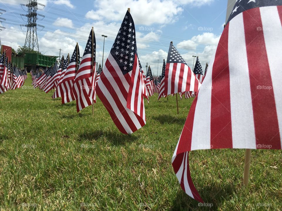 Flags for Memorial Day. 