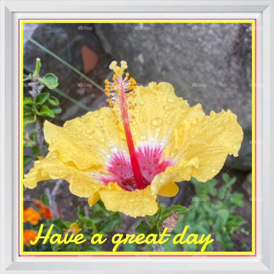 have a great day picture