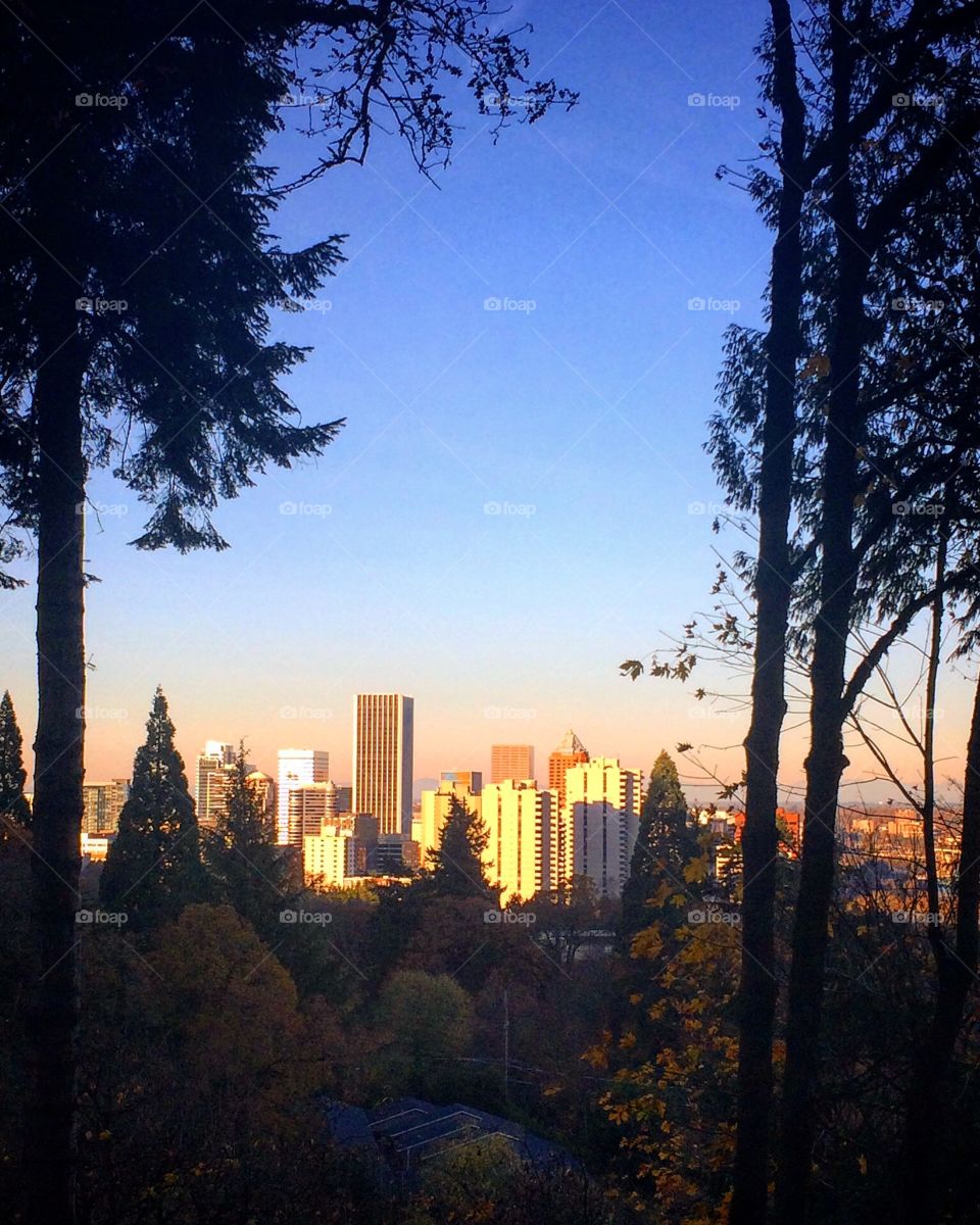 Portland skyline 