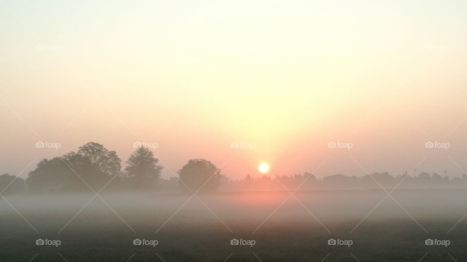 Foggy Sunrise - Po Valley
