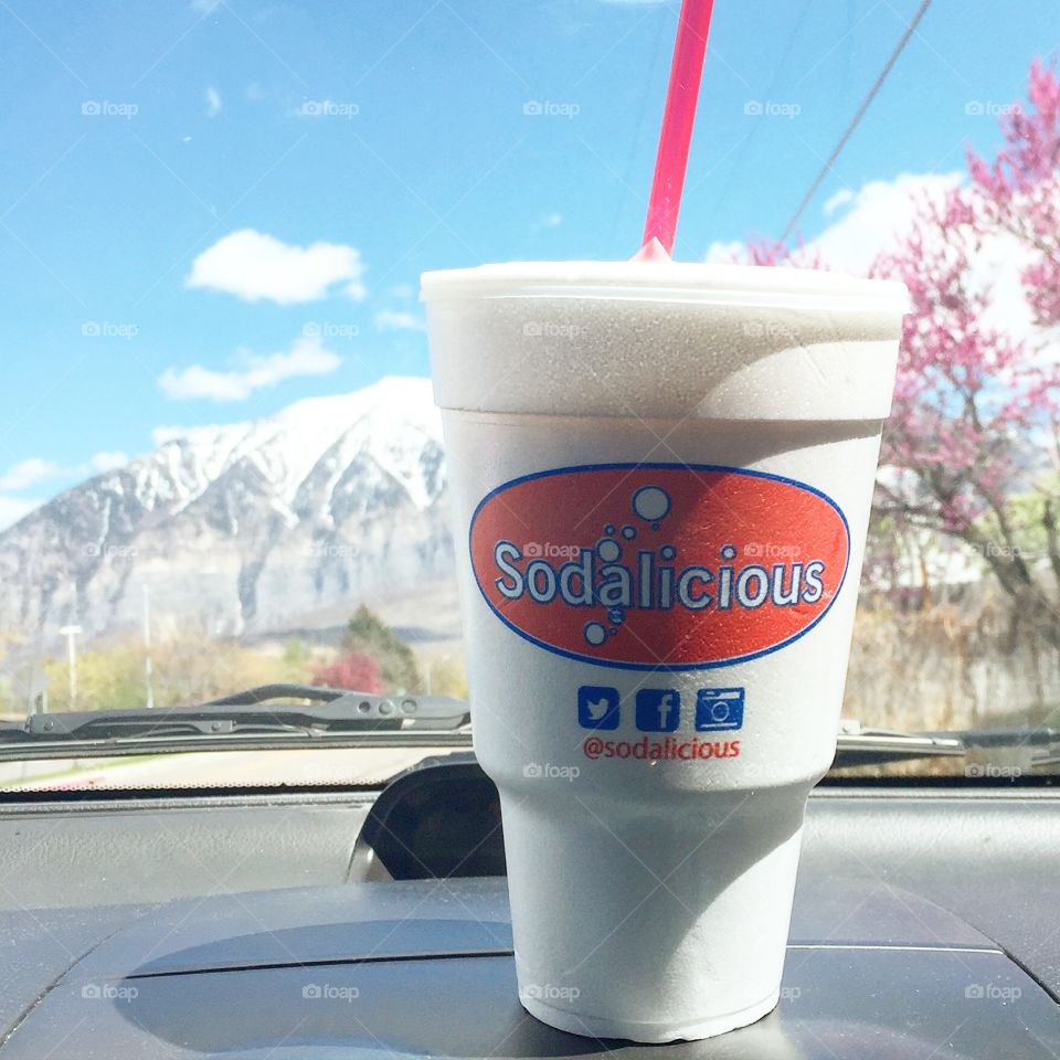 Sodalicious