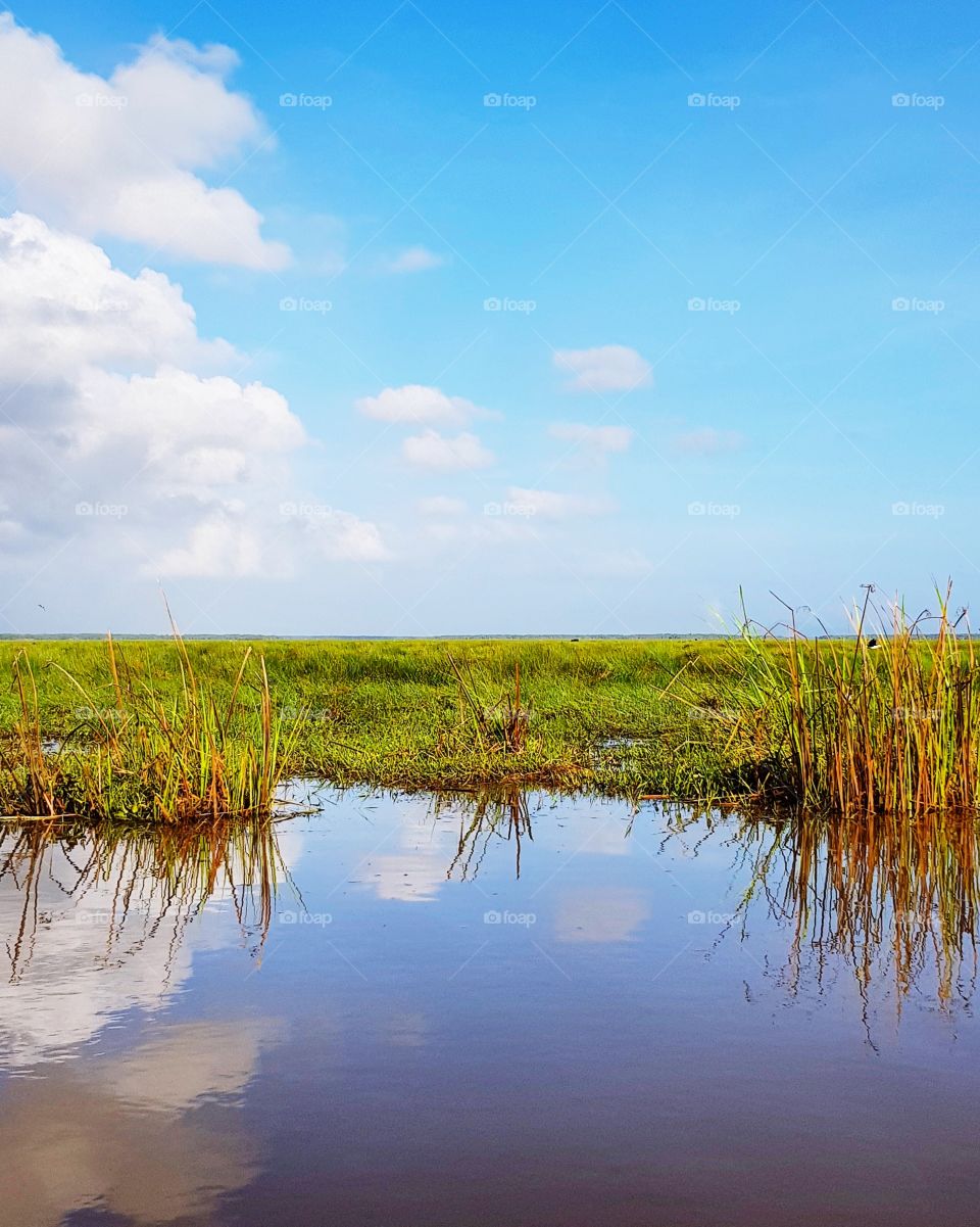 Scenic view of meadow against blue sky