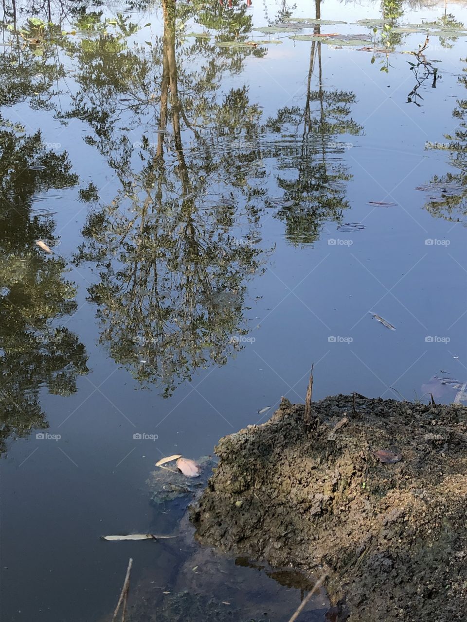 The stories of the nature, Countryside ( Thailand)