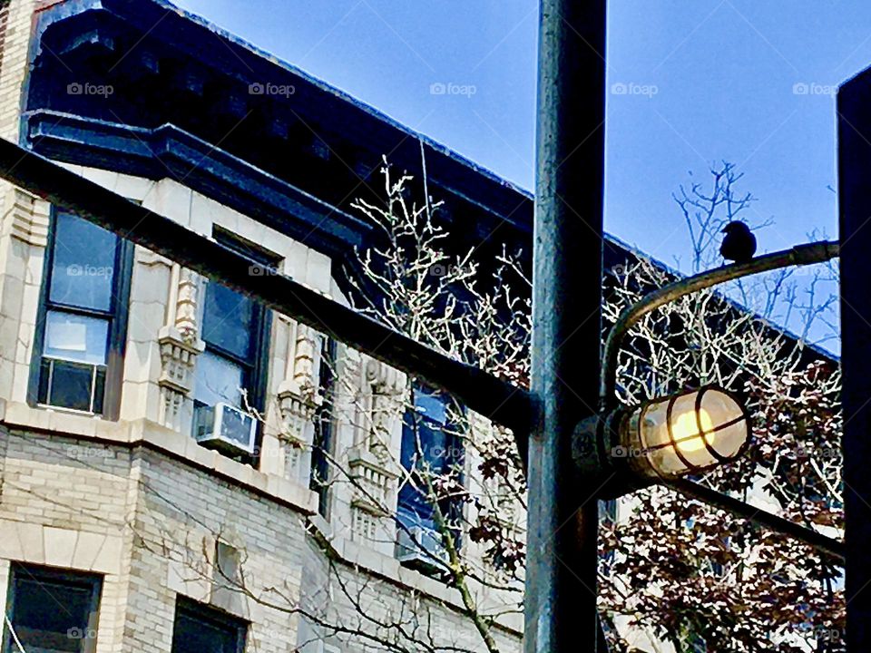 A picturesque street corner in Fort Greene, Brooklyn, NY with an old fashioned lantern mounted on the side of a metal pole photographed on a bright sunny day in the Fall of 2021. Hypnotic Productions