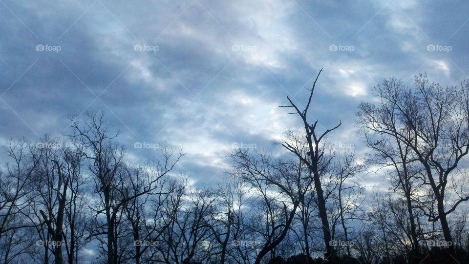 winter sky. winter sky in Durham NC