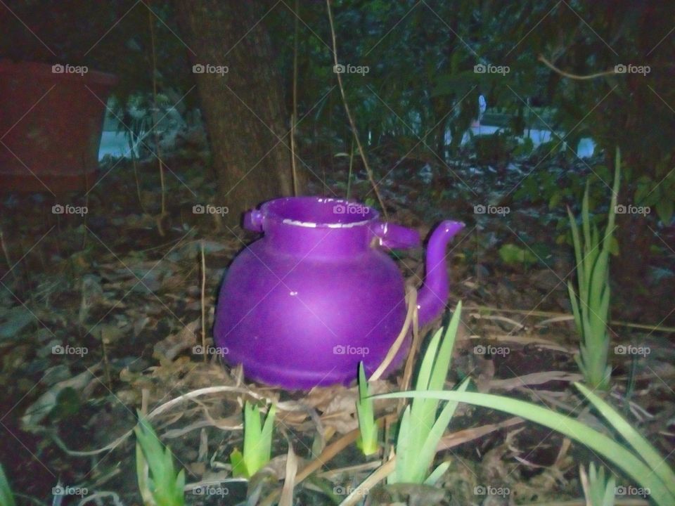 wonderland story: purple tea in the garden