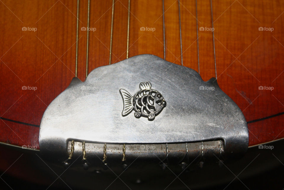 Silver fish, detail of mandoline, musical instrument