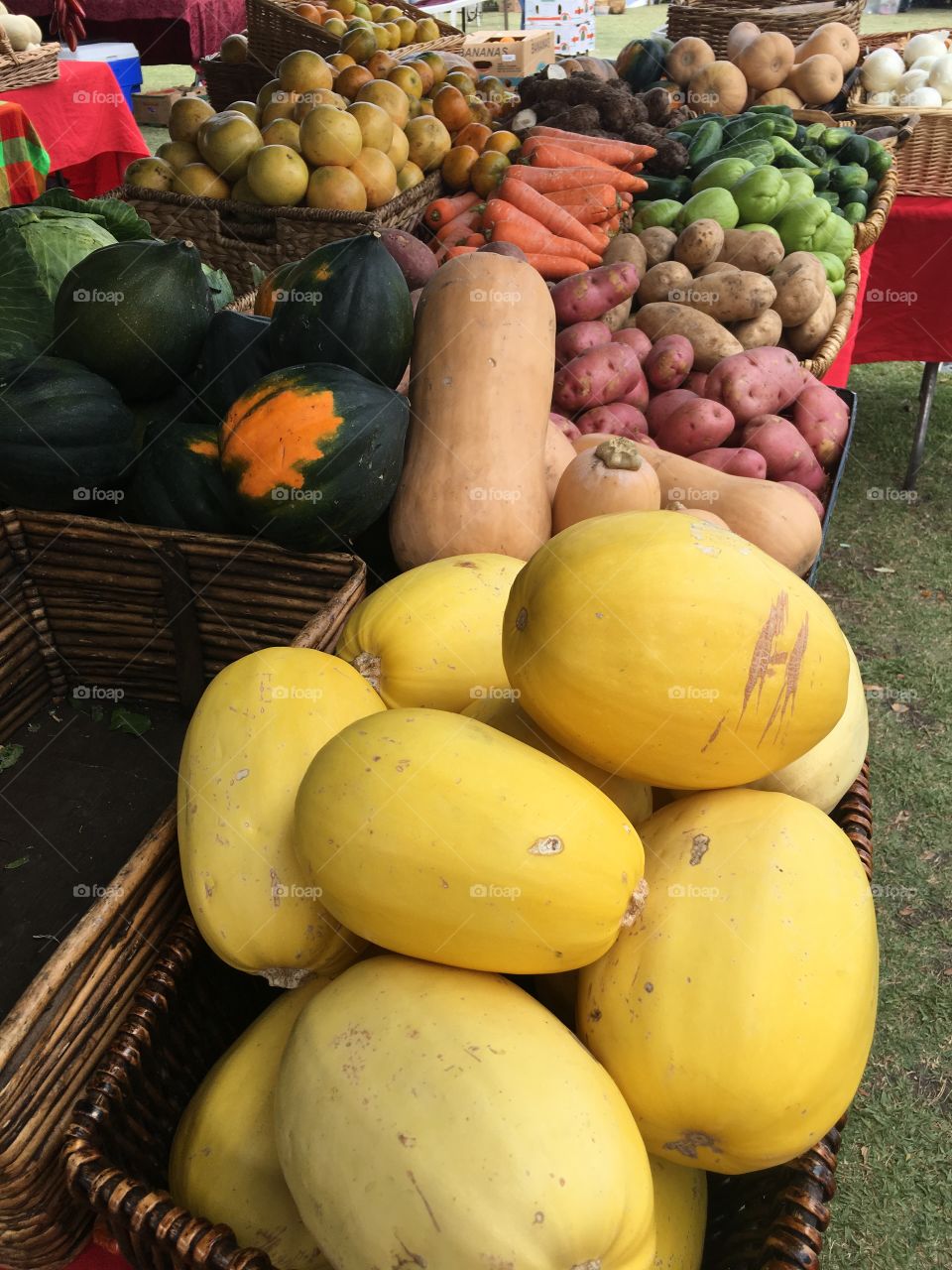 Vegetables at the green market