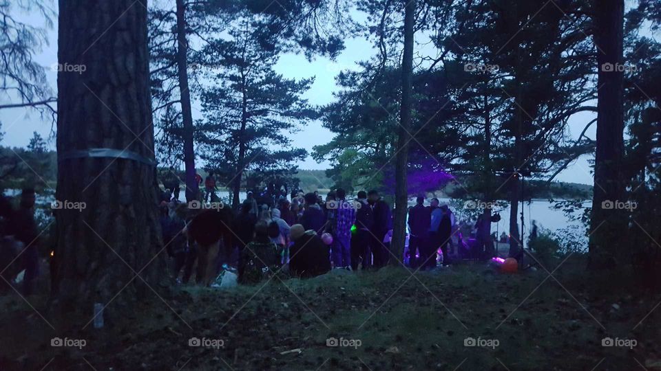 Techno party in a nature reserve