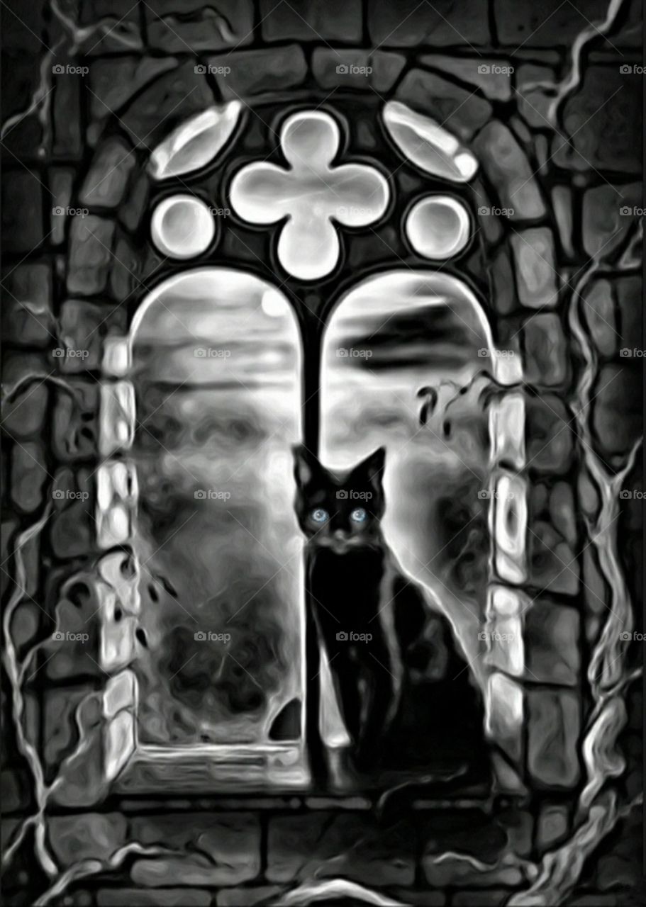 Spooky Cat in Gothic window.