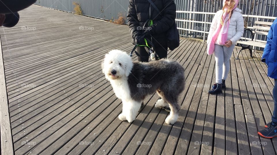 Nivea and care during the holidays