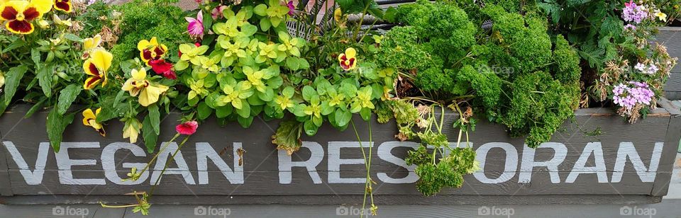 Vegan restaurant 💚😋 Outdoor 💚😋 Interior 💚😋