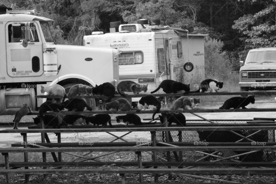 Everybody Needs to Eat