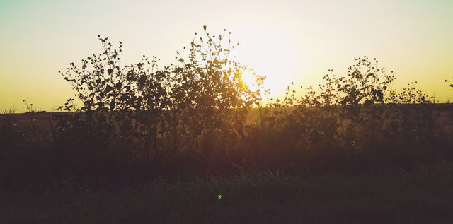 Golden hour. A sun setting on a day in the country
