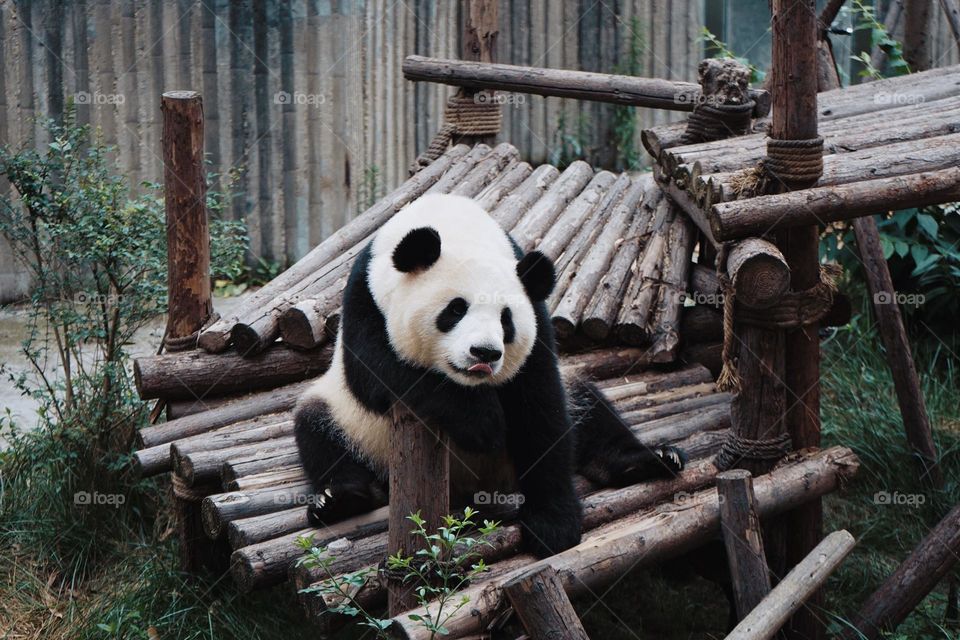 Whatever I have learned, I will put my whole life and learning