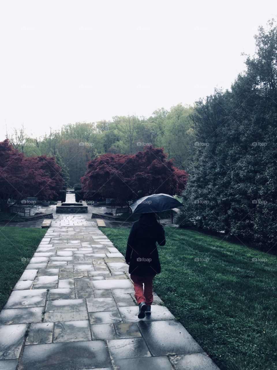Rainy day walk